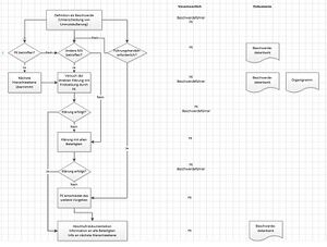 Beschwerdemanagement insel e.V.-Flowchart.JPG