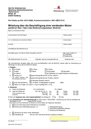GS.015.01 Meldung Schwangerschaft.pdf