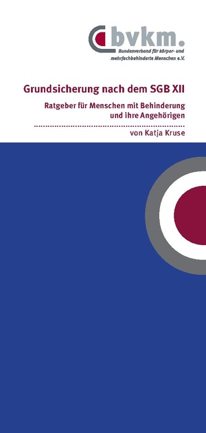 Grundsicherung 2025.pdf